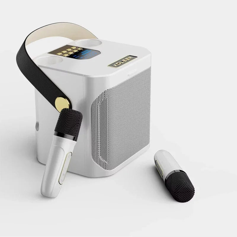 High-power Bluetooth karaoke speaker with two microphones