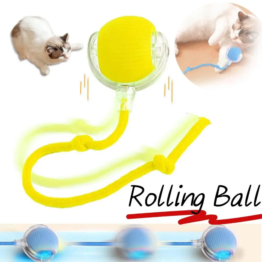 Smart interactive rolling cat ball
