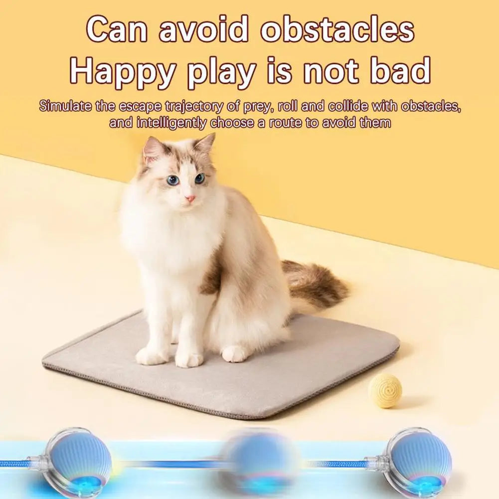 Smart interactive rolling cat ball