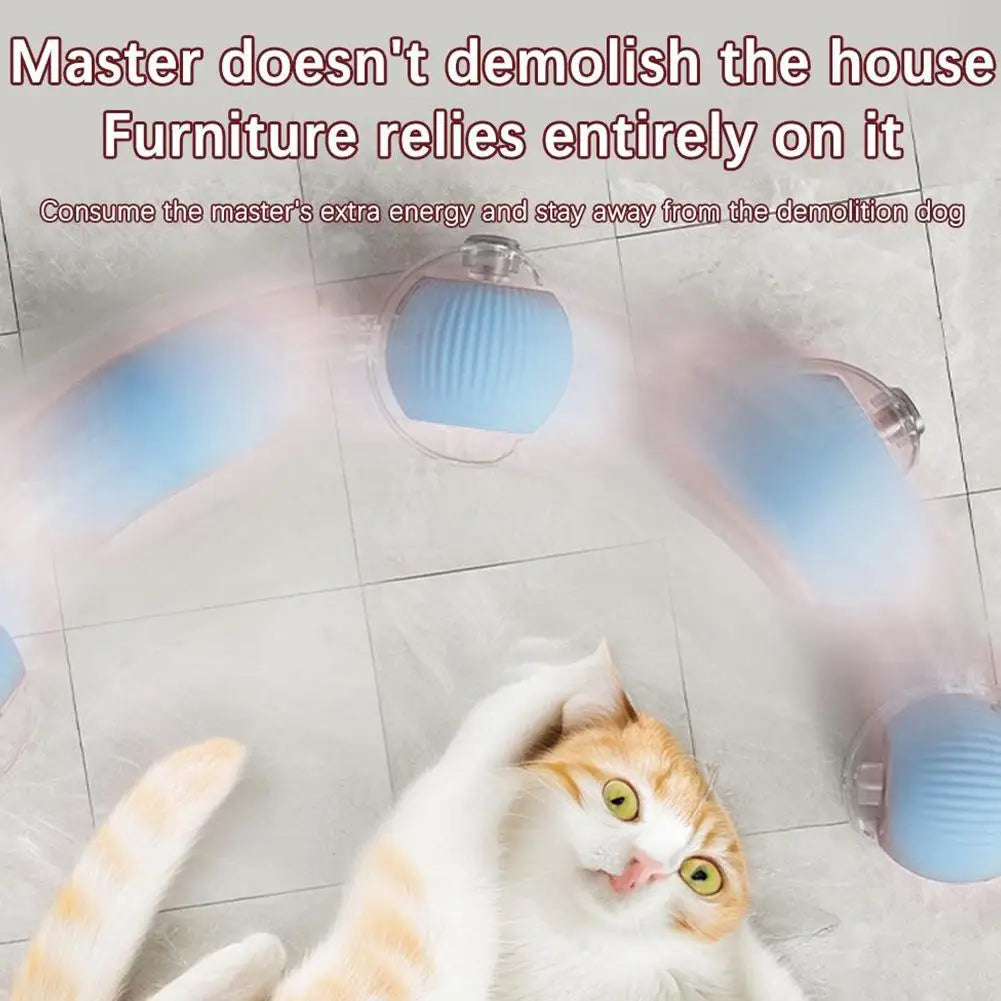 Smart interactive rolling cat ball