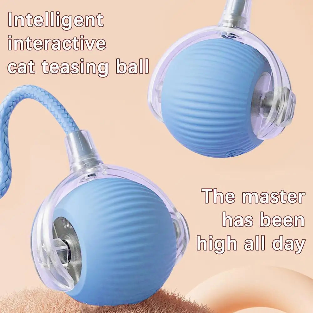 Smart interactive rolling cat ball