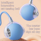 Smart interactive rolling cat ball