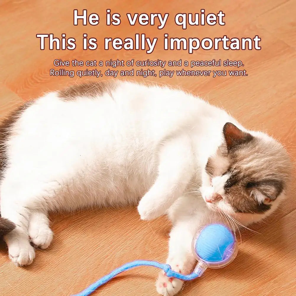 Smart interactive rolling cat ball