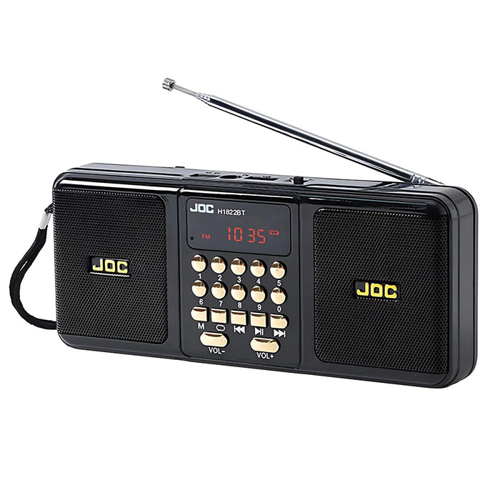 Black portable Bluetooth speaker with FM radio