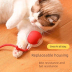 Balle interactive intelligente pour stimuler les chats