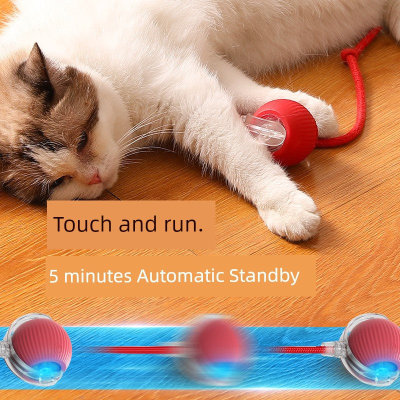 Balle interactive intelligente pour stimuler les chats